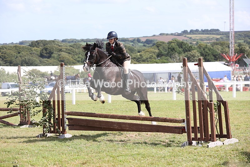 JPP_2227 - Class 19: Working Hunter 60cm