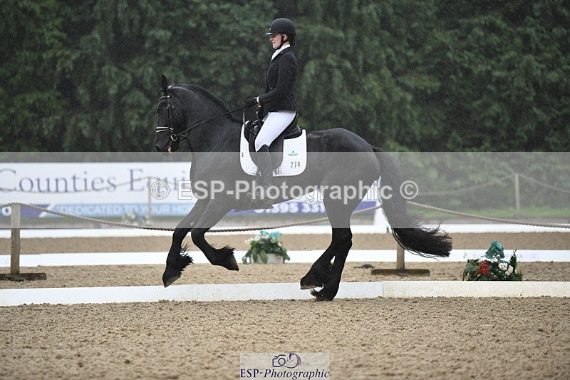 240720-093821-03550 - 274-Paige_Beattie-Orcaber_Dark_Secret