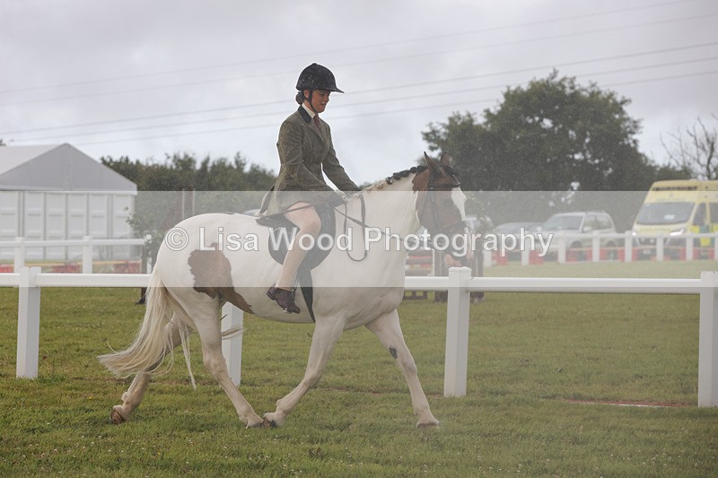 1X9A2998 - Class 26: Ridden Plaited Coloured Pony