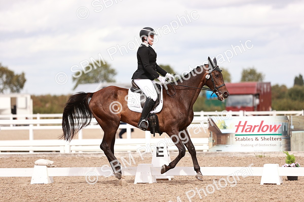 SBM_06271 - Class 37 - Novice 5