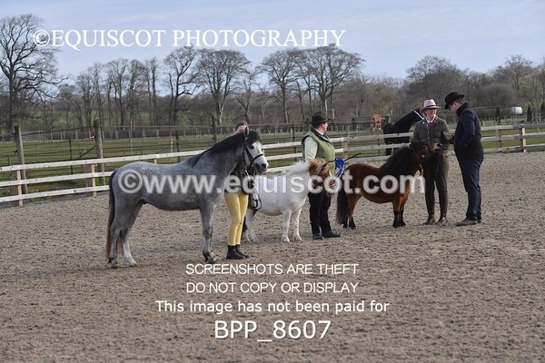 BPP_8607 - RING 2 - M&M