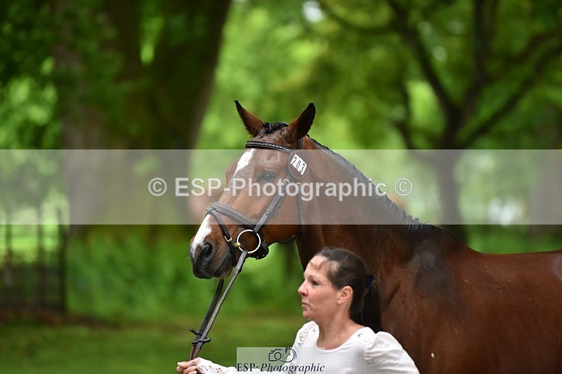 240522-163030-00963 - 203-OAKPORT_WEST_COAST_EXPRESS-Emma_Wilkes