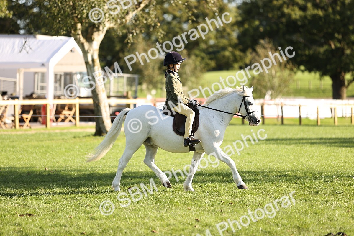 SBM_29412 - S7 - Novice & Newcomers Ridden Pony