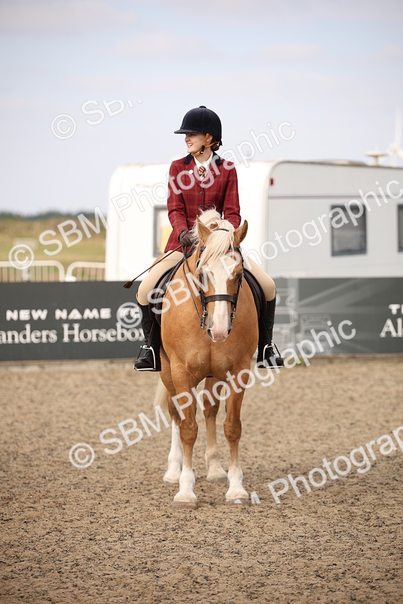 SBM_17318 - Class 410a - Wor5king Veteran 90cm (15-19)