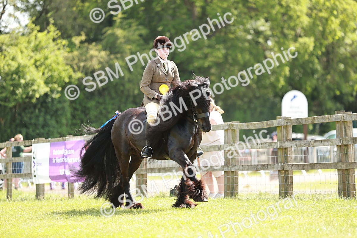 SBM_07233 - Class 26-30 - Mountain and Moorland Ridden
