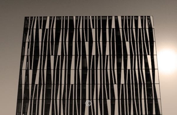 Aberdeen University Library. - Photographic Work.