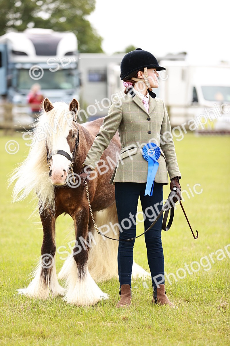 SBM_06078 - Class 39-41 TGCA In Hand and Ridden