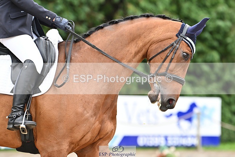 240811-105145-05030 - 163-Sue.Jackson-Verano