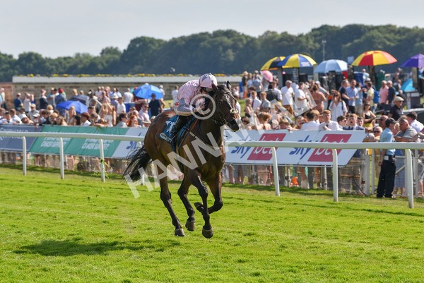 160623-Race 6-Another Investment-6503 - Race 6 4.45pm Irish Thoroughbred Marketing Handicap