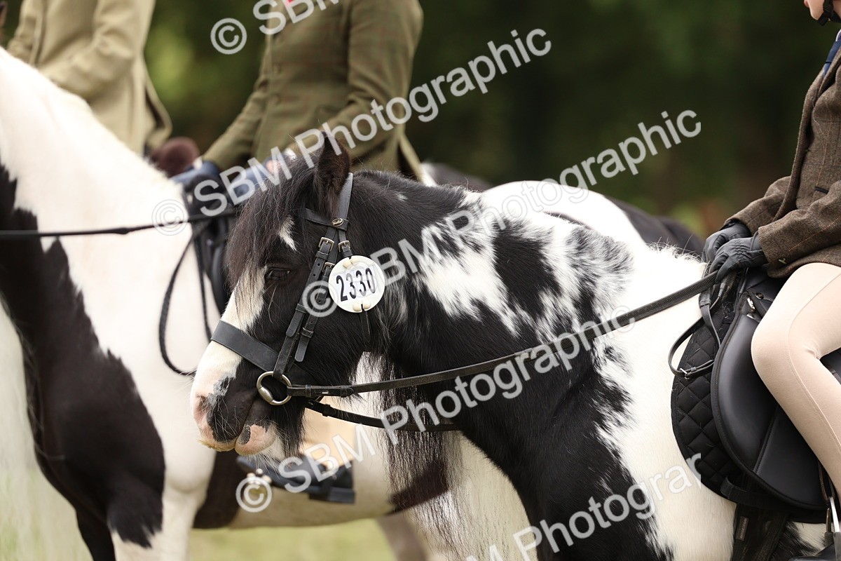 SBM_64642 - S58 - Coloured Pony Ridden