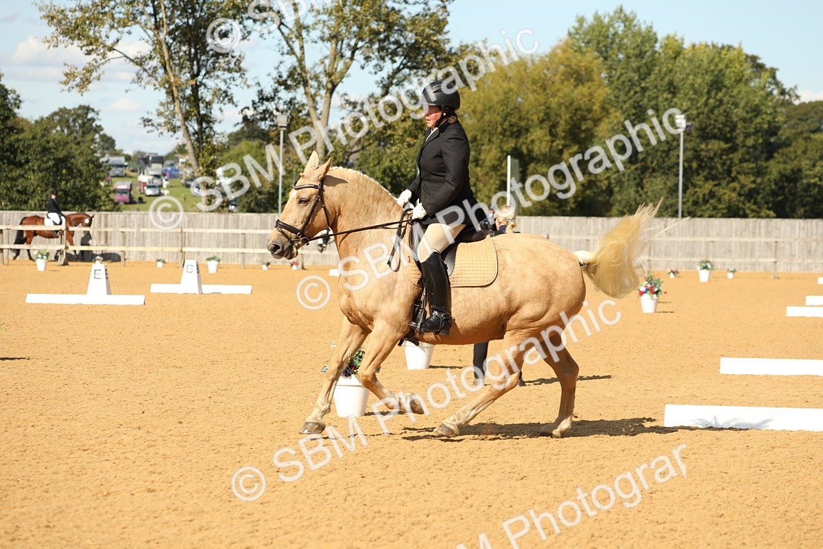 SBM_24588 - D17 - Grand Tour Championship - Novice 27