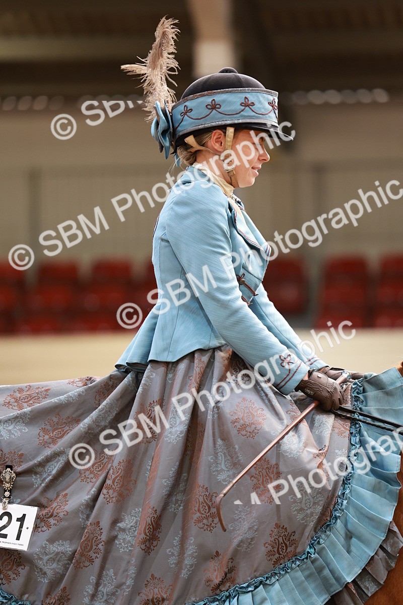 SBM_13750 - Class 106 - Ridden Costume -Astride Adult (15-19)