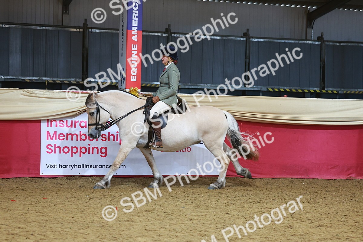SBM_09445 - Class 102 - HOYS Veteran Qualifier - Ridden Veteran