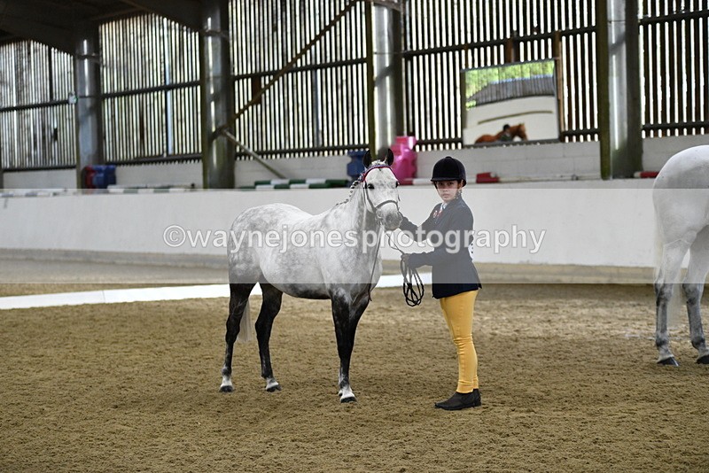 WJ5_3962 - Class 2 Best Condition In hand