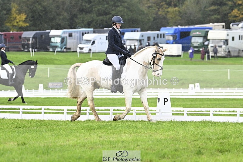 251023A-133857-04118 - D-324-Clare.Pascoe