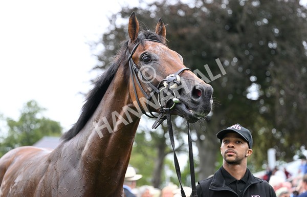 200825-122 Pride Of Arras - Race 3 3.00pm Sky Bet Great Voltigeur Stakes