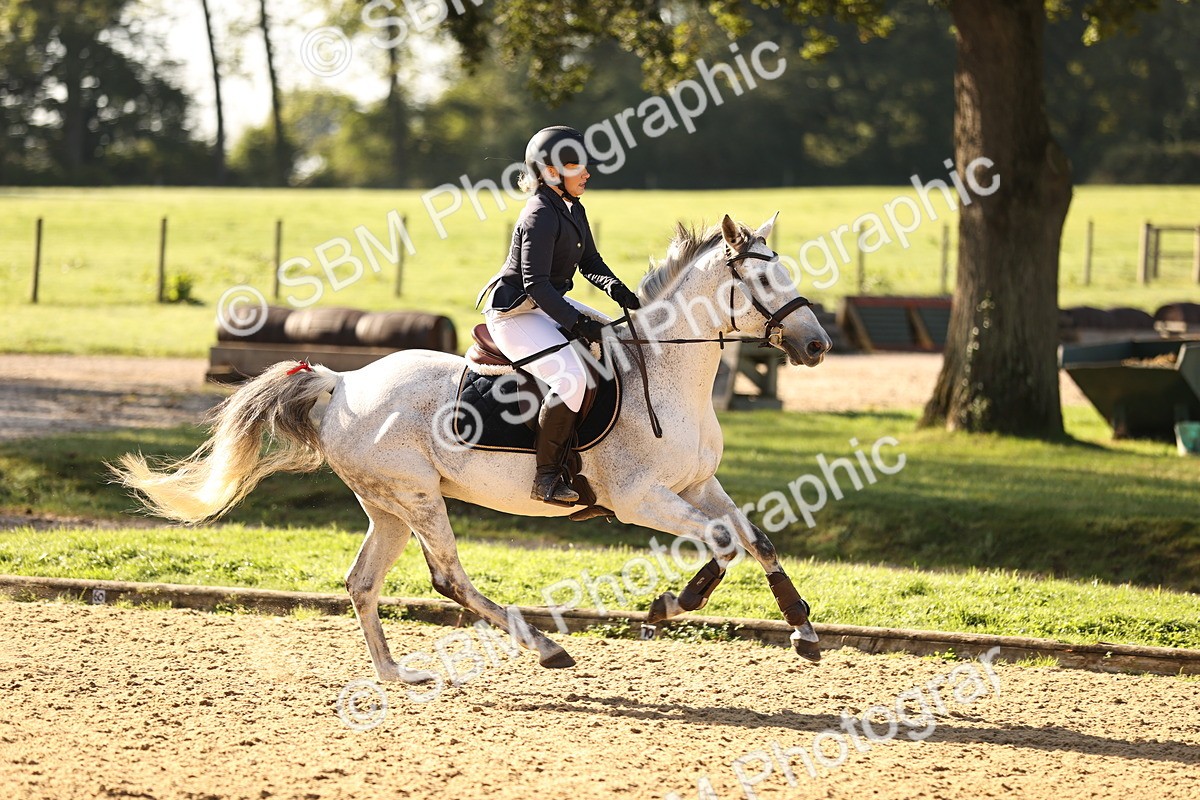 SBM_35103 - J38 - Senior 80cm Championship