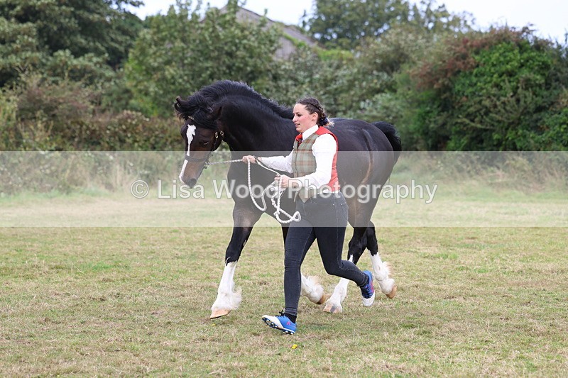 3E7A4234 - Class 15: Two Year Olds