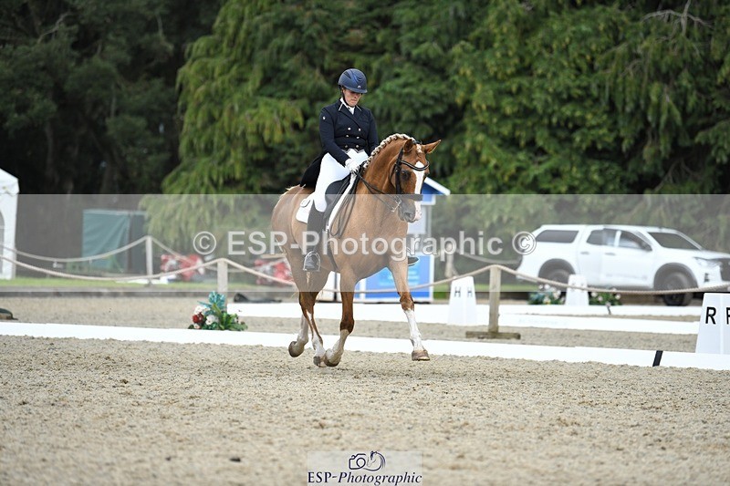 230812-143946-04749 - Cls 7 FEI PSG Bronze