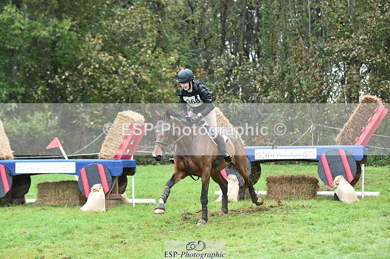 261024A-102126-18381 - D-368-Steffi.Dampney