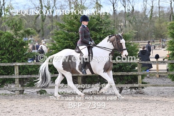 BPP_7399 - RING 1  (RIDDEN HORSES / IN HAND / VETERAN ETC)