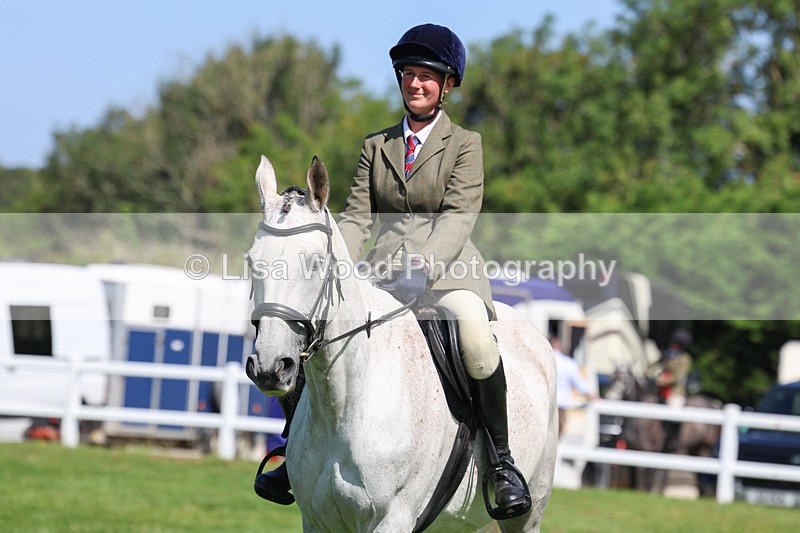 3E7A8565 - Class 5: Working Show Horse