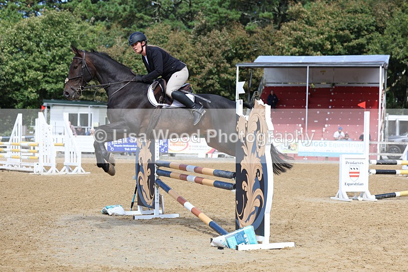 3E7A9141 - Class 9: Senior British Novice/90cm open