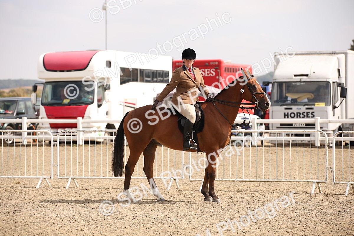 SBM_14278 - Class 407b - Working Veteran 60cm (20+)