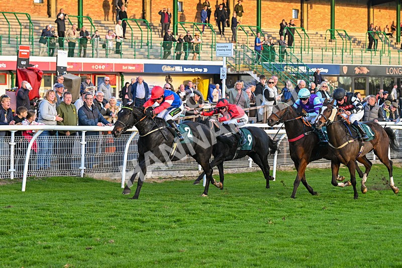 291024-Race 7-Crocodile Power-6485 - Race 7