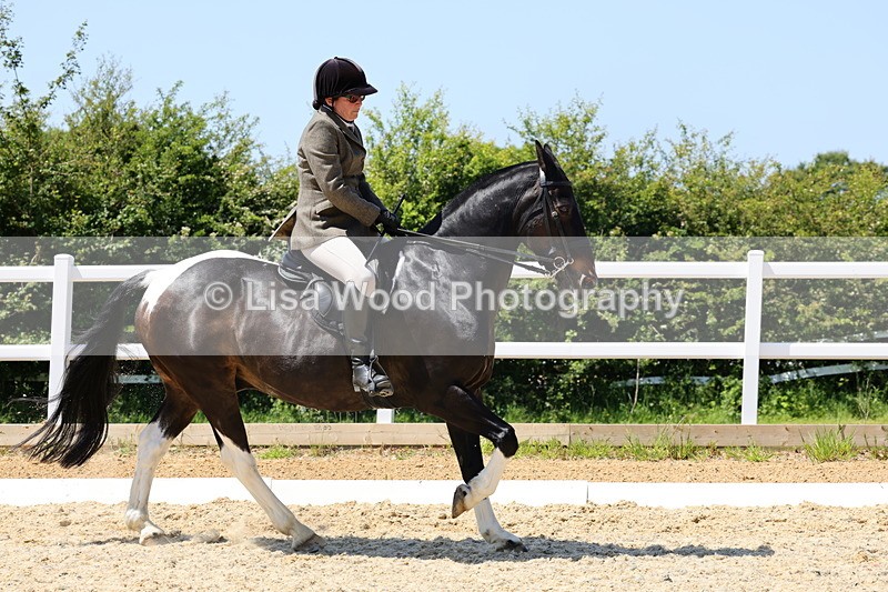 1X9A1785 - Class 11: Ridden Cob
