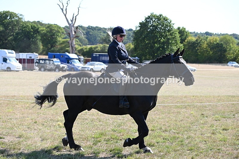 WJ6_7472 - Class 34 Judges Choice