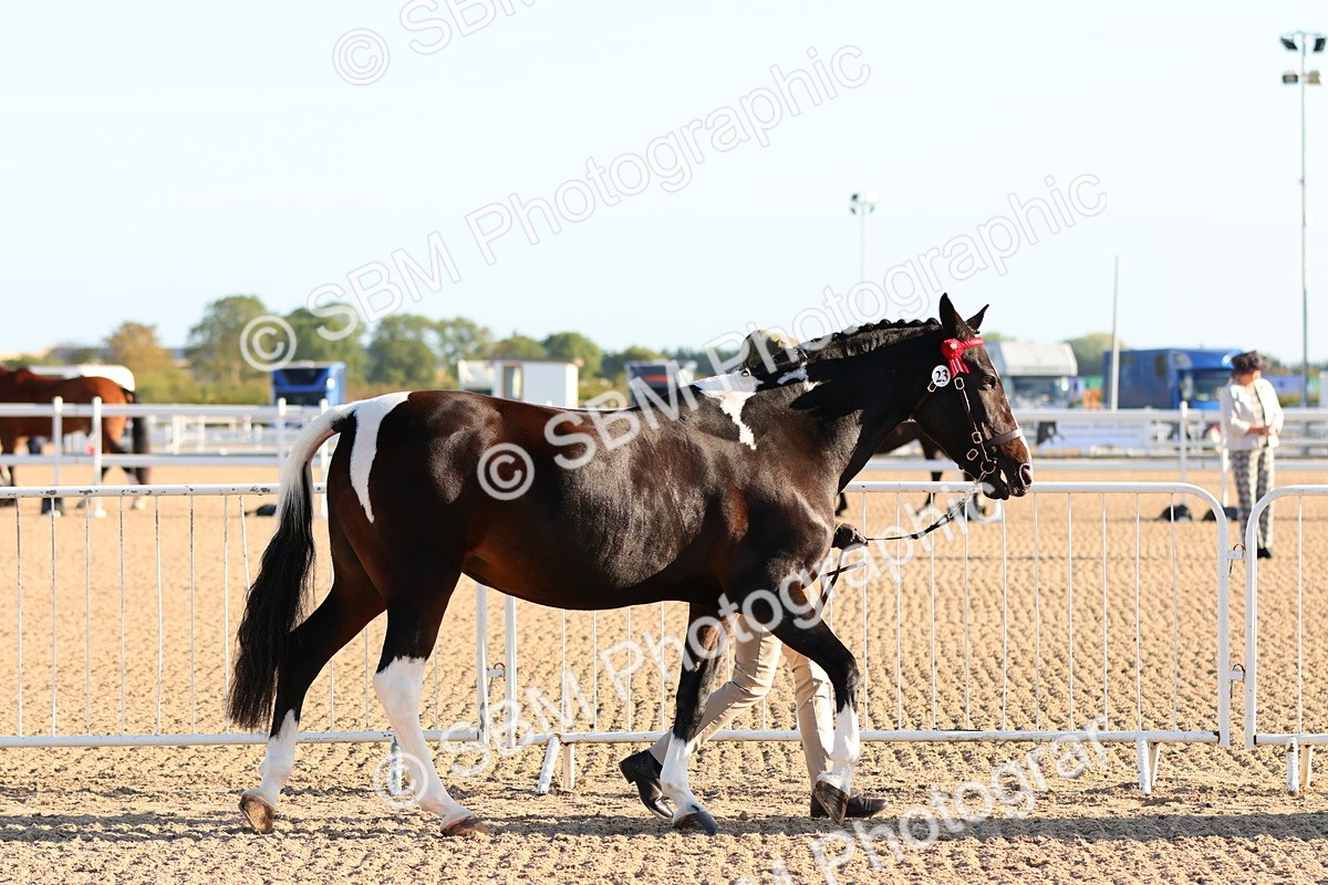 SBM_07966 - Class 201 - Best Turned Out - IH