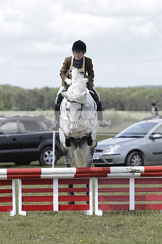 BVHT 140517 N-260 - Class 2 SJ Novice 14/05/17