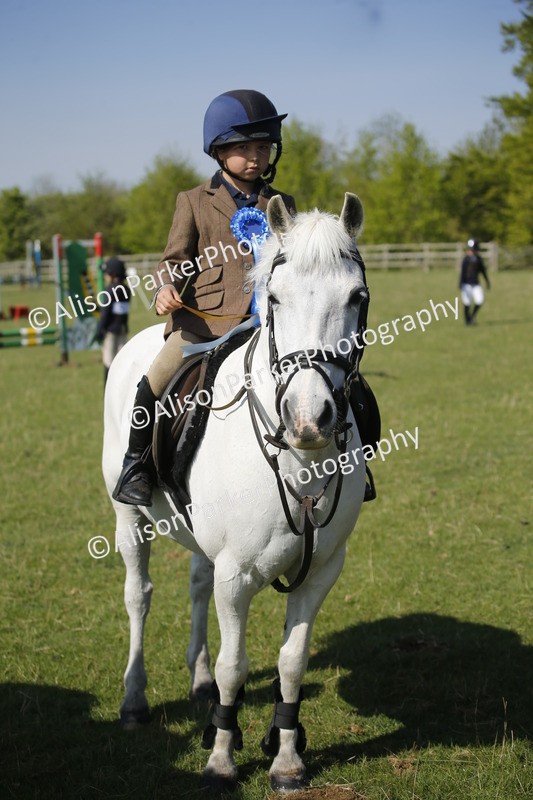 20250427-0464 - Class 12 - Rookie Jumping 40cm
