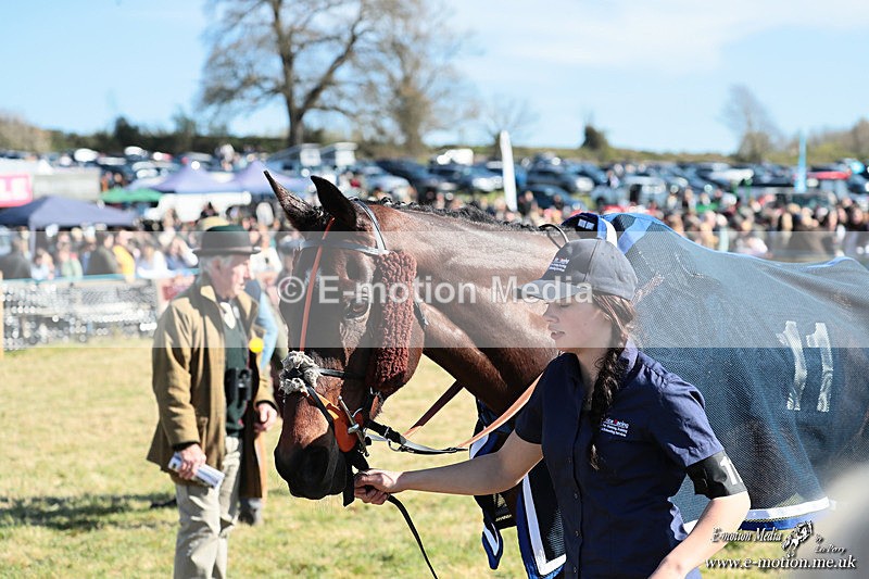 PtP 060426 479 - Paxford Races North Cotswold Easter Mon 06/04/26