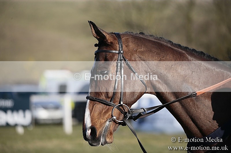 PtP 240218 628 - Vine & Craven Hunt Point-to-Point Barbury racecourse 24/02/18