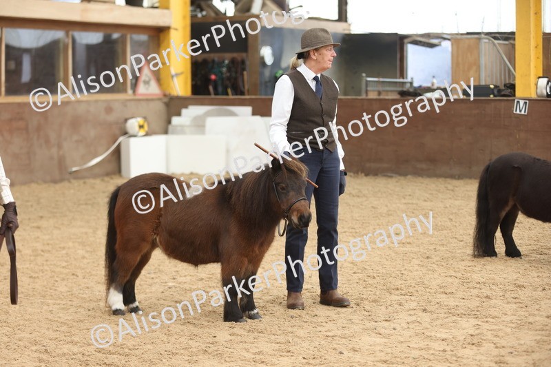 20251109-0328 - Class 13 - Mares 4 Years and Over