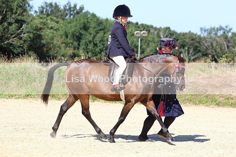 3E7A8051 - Class 15: Lead Rein