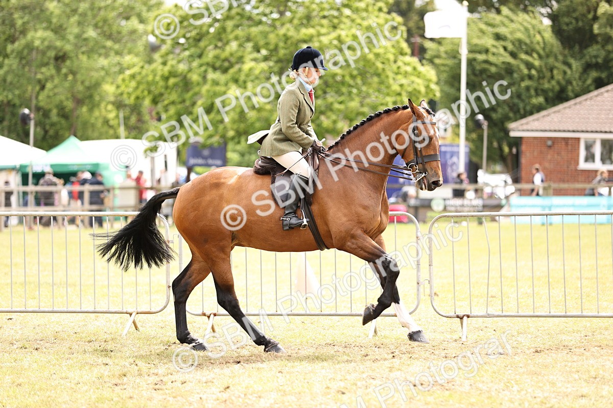 SBM_14661 - Class 88-89 - LIHS BSHA Rising Star of Ridden Hunter Type