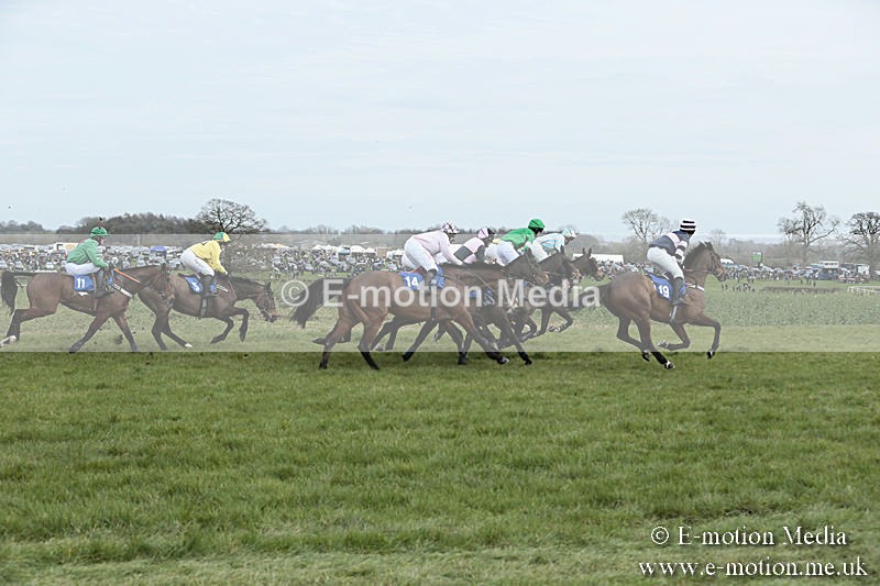 PtP 230319 167 - VWH Hunt Siddington Point-to-Point Racing 23/03/19