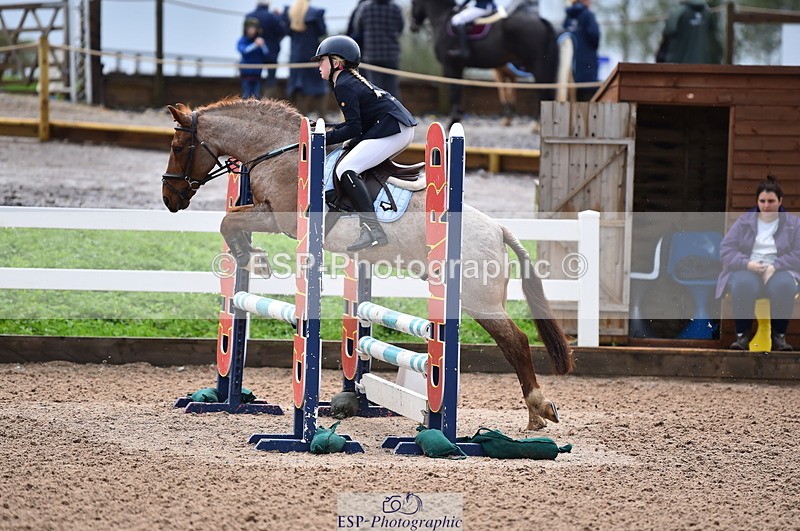 231029A-103216-02319 - 70cm Pony Intro