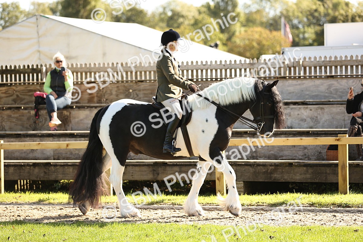 SBM_16995 - S2 - TSR Ridden Pony Showing