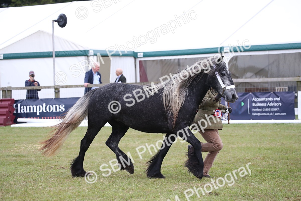 SBM_09859 - Ch 50 - Price Family Supreme In Hand