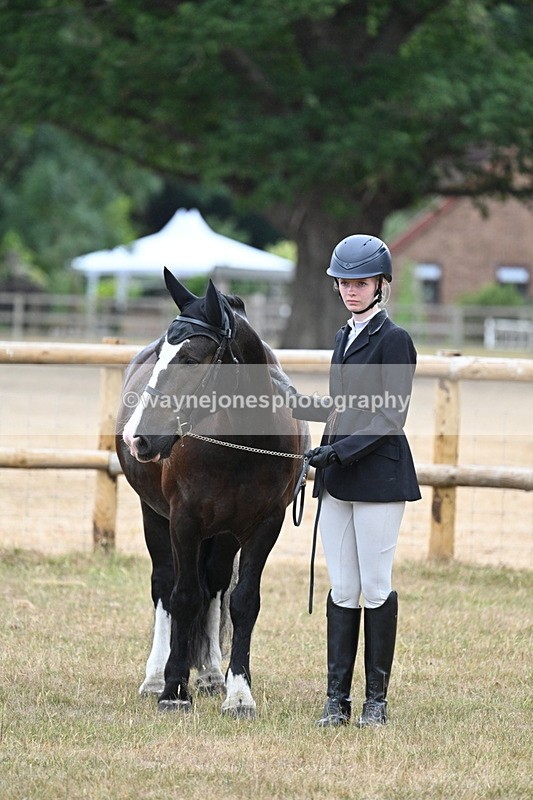 WJ7_9755 - Class 5a Most Handsome Gelding (above 14.2hh)