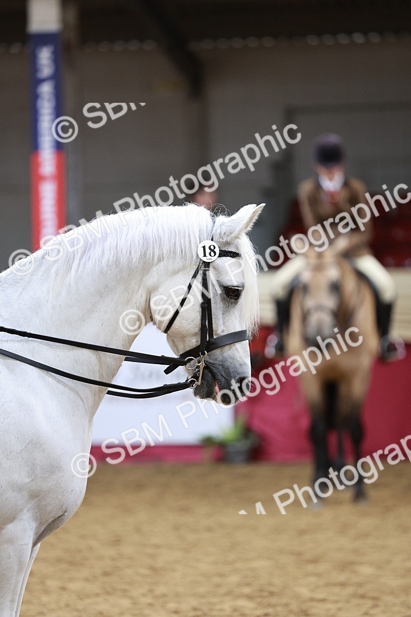 SBM_03632 - Class 6A Area Ridden Pre-Vet