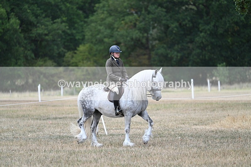 WJ7_4729 - Class 12 Ridden Cob