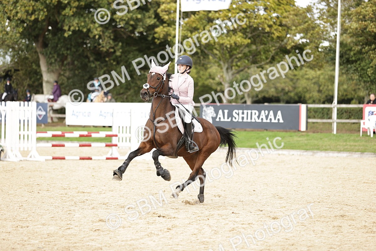 SBM_28517 - J46 - Accumulator 80 90cm