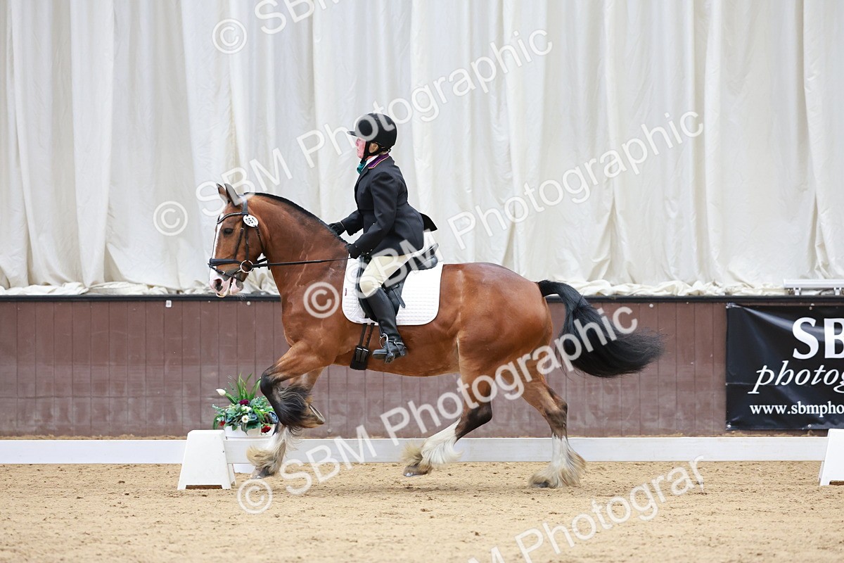 SBM_008107 - Class 6b - Novice 6 - 9.28-10.41