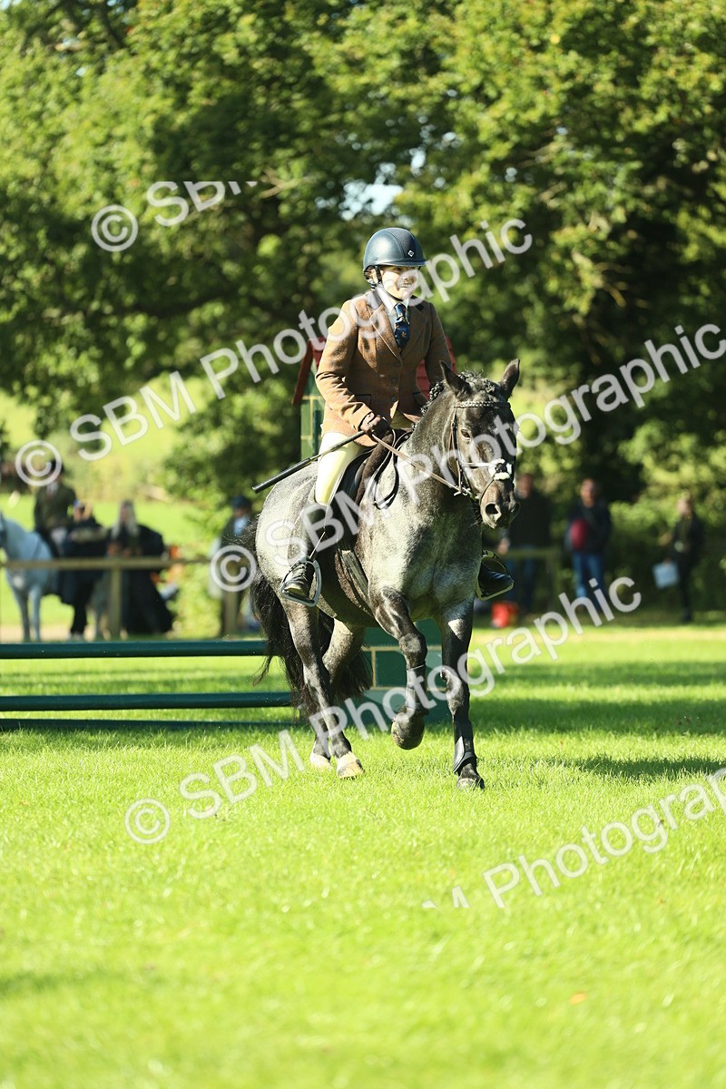 SBM_36474 - S29 - Novice & Newcomers Working Hunter Pony