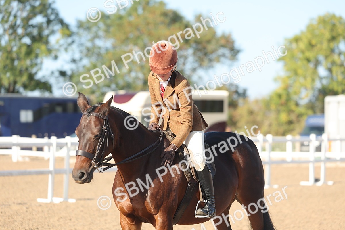 SBM_22126 - Class 801 - Ridden Veterans